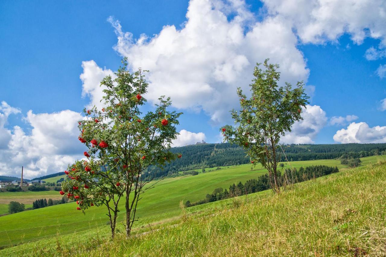 Am Roten Hammer I Gasthof Und Pension Oberwiesenthal Esterno foto